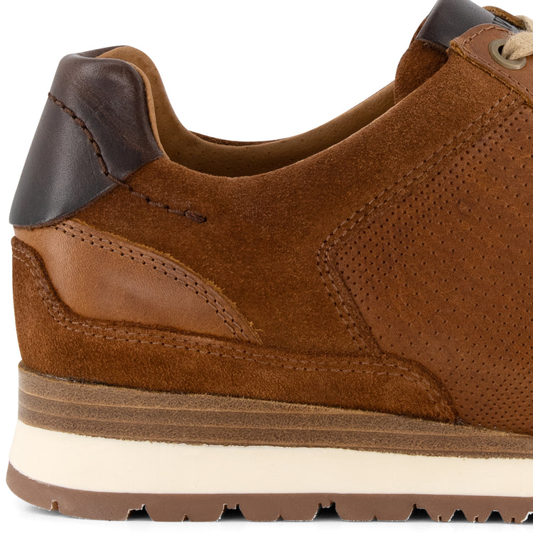 Worcester Men Cognac DFH